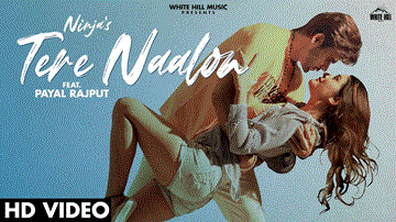 Tere Naalon Lyrics - Ninja | Punjabi Song