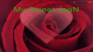 Teri Dosti Se Mila Hai Lyrics - Mohnish Behl | Amrita Singh | Rahul Roy | Asha Bhosle | Kumar Sanu