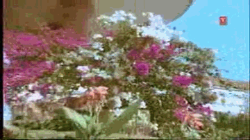 Teri Jawani Tapta Mahina Lyrics - Manoj Kumar | Sadhana | Balraj Sahni | Mohammed Rafi