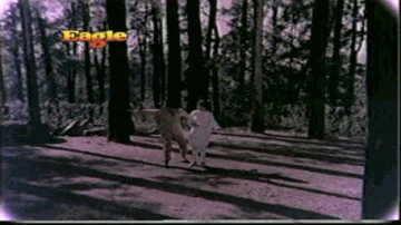 Thoda Ruk Jayegi To Lyrics - Ajit | Shashi Kapoor | Vimi | Mohammed Rafi