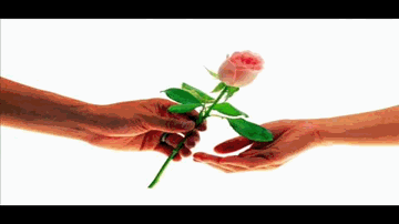 Tod Kar Har Qasam Aap Ke Shaher Lyrics - Pankaj Udhas