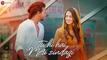 तू ही है मेरी ज़िंदगी Tu Hi Hai Meri Zindagi Lyrics - Vineeth Sreenivasan | Nikhil D&#8217;Souza