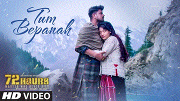 Tum Bepanah Lyrics - Mohit Chauhan | Priyanka Negi