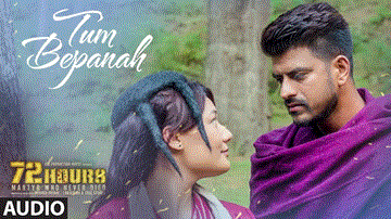 Tum Bepanah Lyrics - Mohit Chauhan | Priyanka Negi