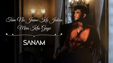 Tum Na Jaane Kis Jahan Mein Kho Gaye Lyrics - Sanam