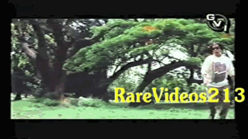Wah Wah Kare Yeh Lyrics - Alok Nath | Shafi Inamdar | Harish Patel | Sudesh Bhosle | Vinod Rathod