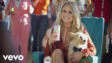 We Should Be Friends Lyrics - Miranda Lambert | English Song