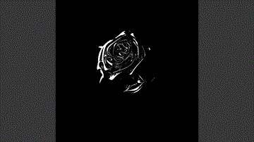 What You Know Bout Love Lyrics - Pop Smoke