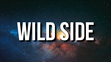 Wild Side Lyrics - Normani | Cardi B