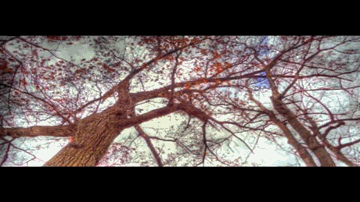 Woh Kisi Aur Kisi Aur Se Milke Lyrics - Agam Kumar Nigam