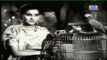Yahi Fiqr Hai Lyrics - Meena Kumari | Ulhas | Noor Jehan | Surendra Nath