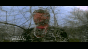 Ye Duniya Yeh Mehfil Lyrics - Raaj Kumar | Priya Rajvansh | Mohammed Rafi