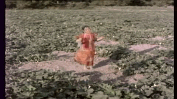 Yeh Gaon Pyara Pyara Lyrics - Ashok Kumar | Jeevan | Jagdeep | Varsha Bhosle