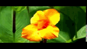 Yeh Raat Chandni Lyrics - Bhagwan | Shanta Patel | Babaurao | Premlata