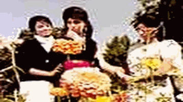 Yeh Vadi E Kashmir Lyrics - Nirupa Roy | Ashok Kumar | Shashikala | Mohammed Rafi