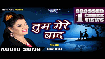Zindagi Ki Wadee Mein Lyrics - Pamela Singh